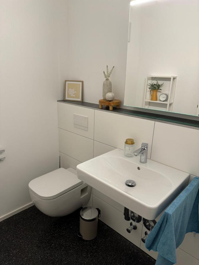 Isaak Appartment Stadtjuwel Waldshut-Tiengen Extérieur photo