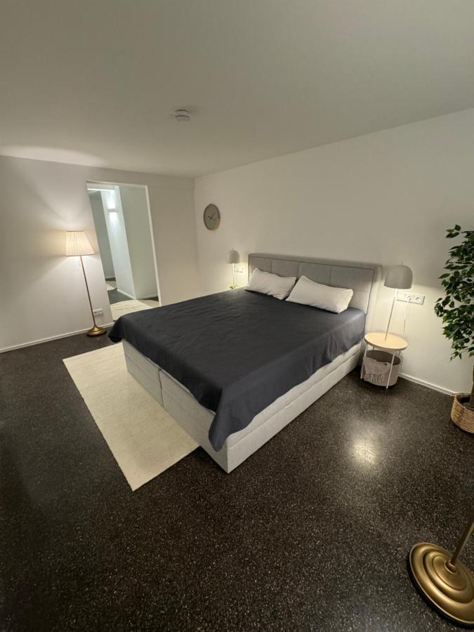Isaak Appartment Stadtjuwel Waldshut-Tiengen Extérieur photo