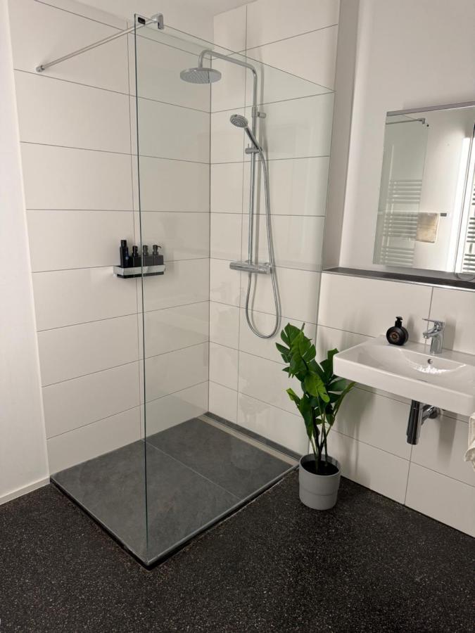 Isaak Appartment Stadtjuwel Waldshut-Tiengen Extérieur photo