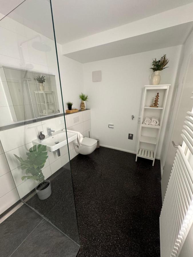 Isaak Appartment Stadtjuwel Waldshut-Tiengen Extérieur photo