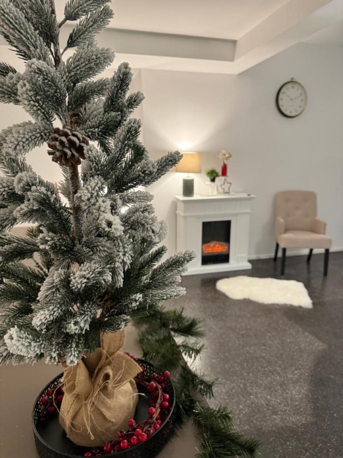 Isaak Appartment Stadtjuwel Waldshut-Tiengen Extérieur photo
