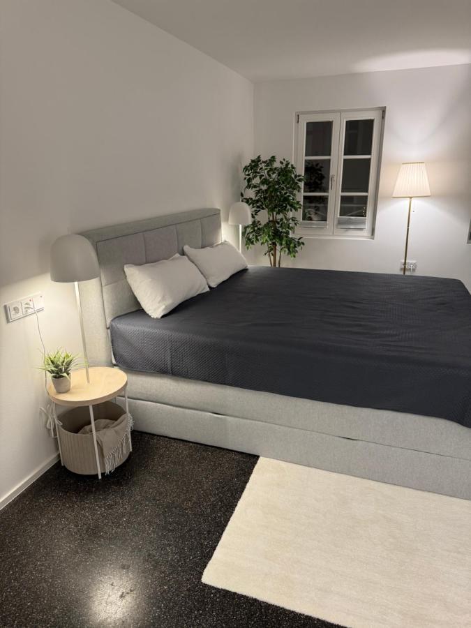 Isaak Appartment Stadtjuwel Waldshut-Tiengen Extérieur photo