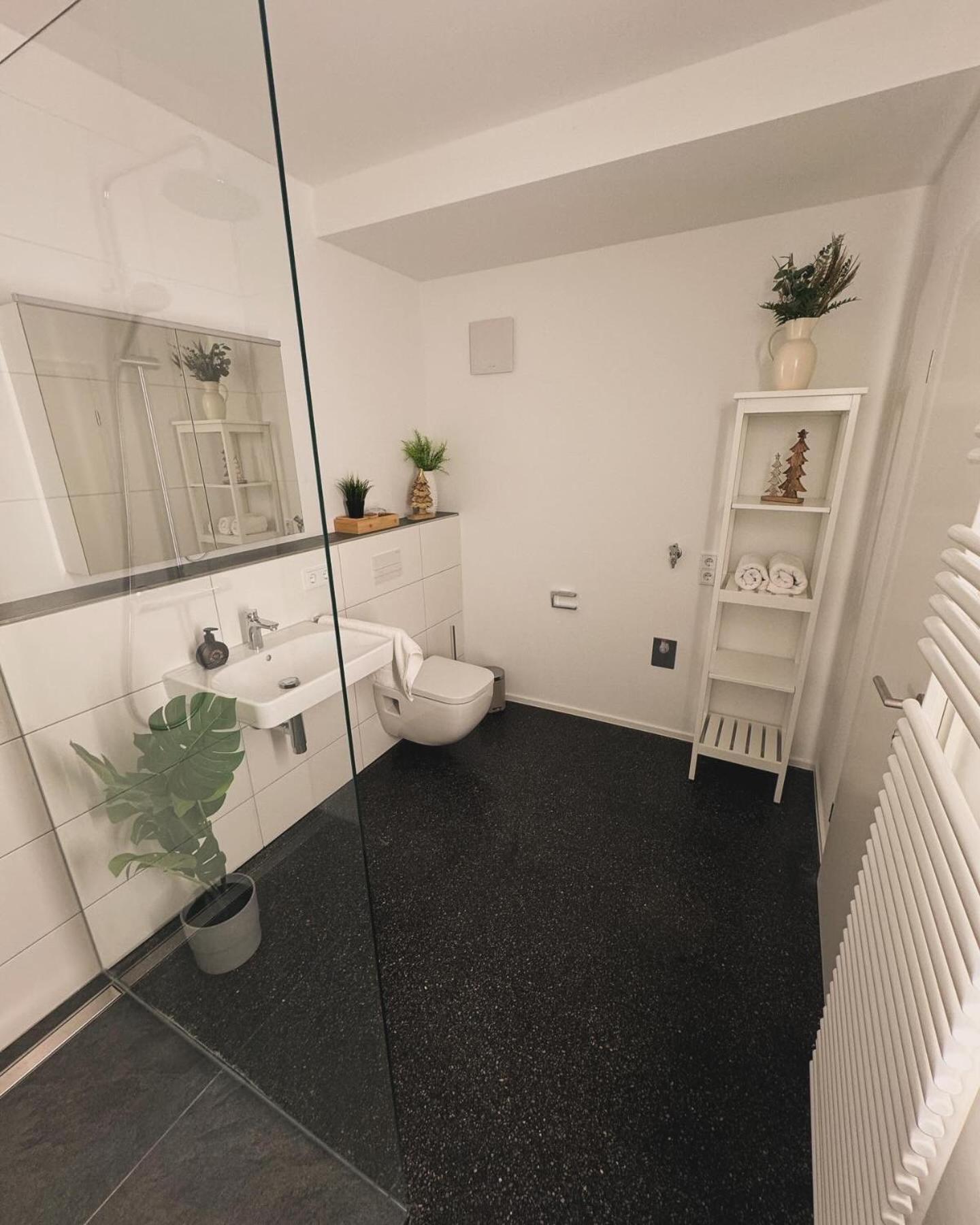 Isaak Appartment Stadtjuwel Waldshut-Tiengen Extérieur photo