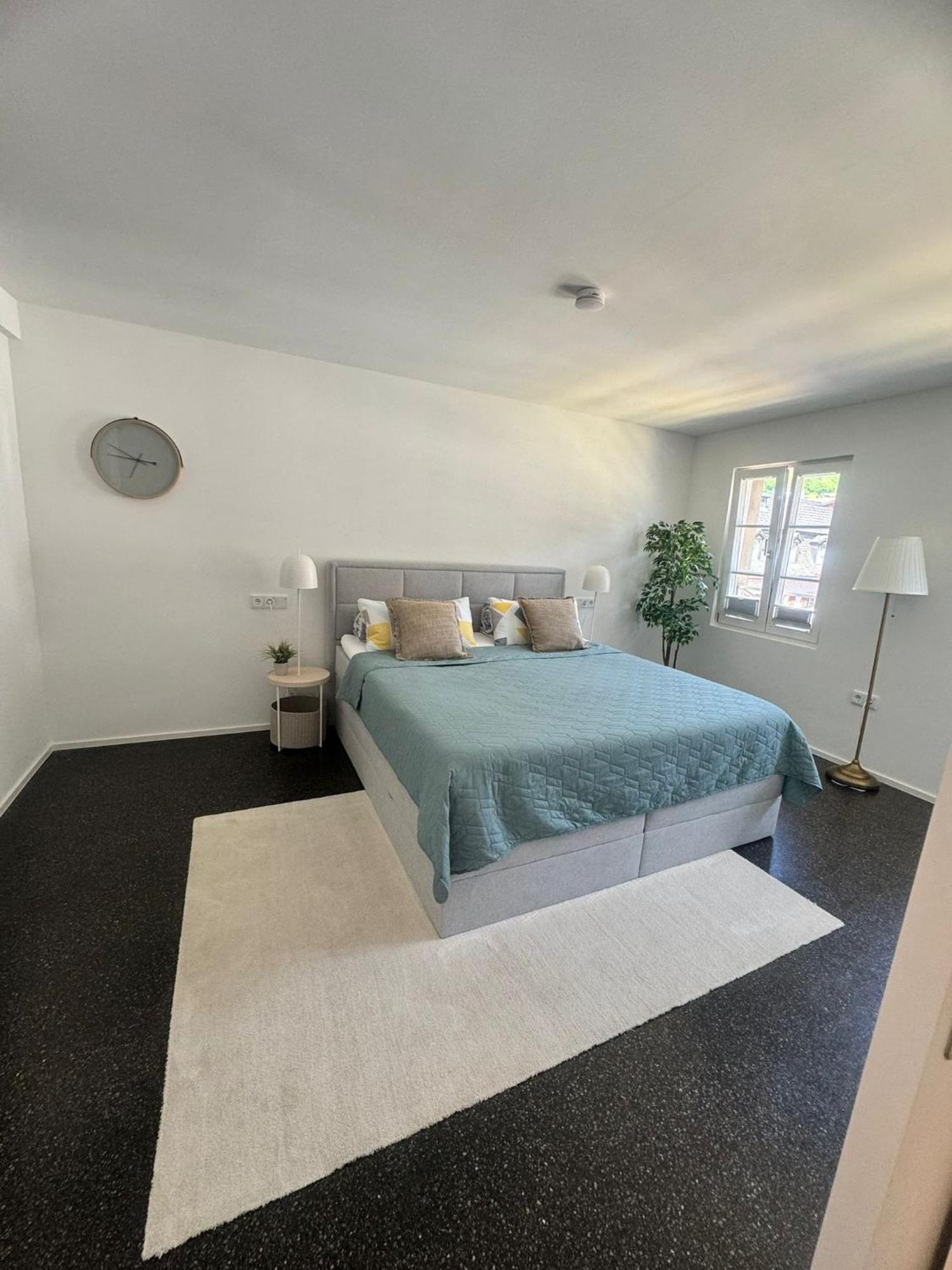 Isaak Appartment Stadtjuwel Waldshut-Tiengen Extérieur photo